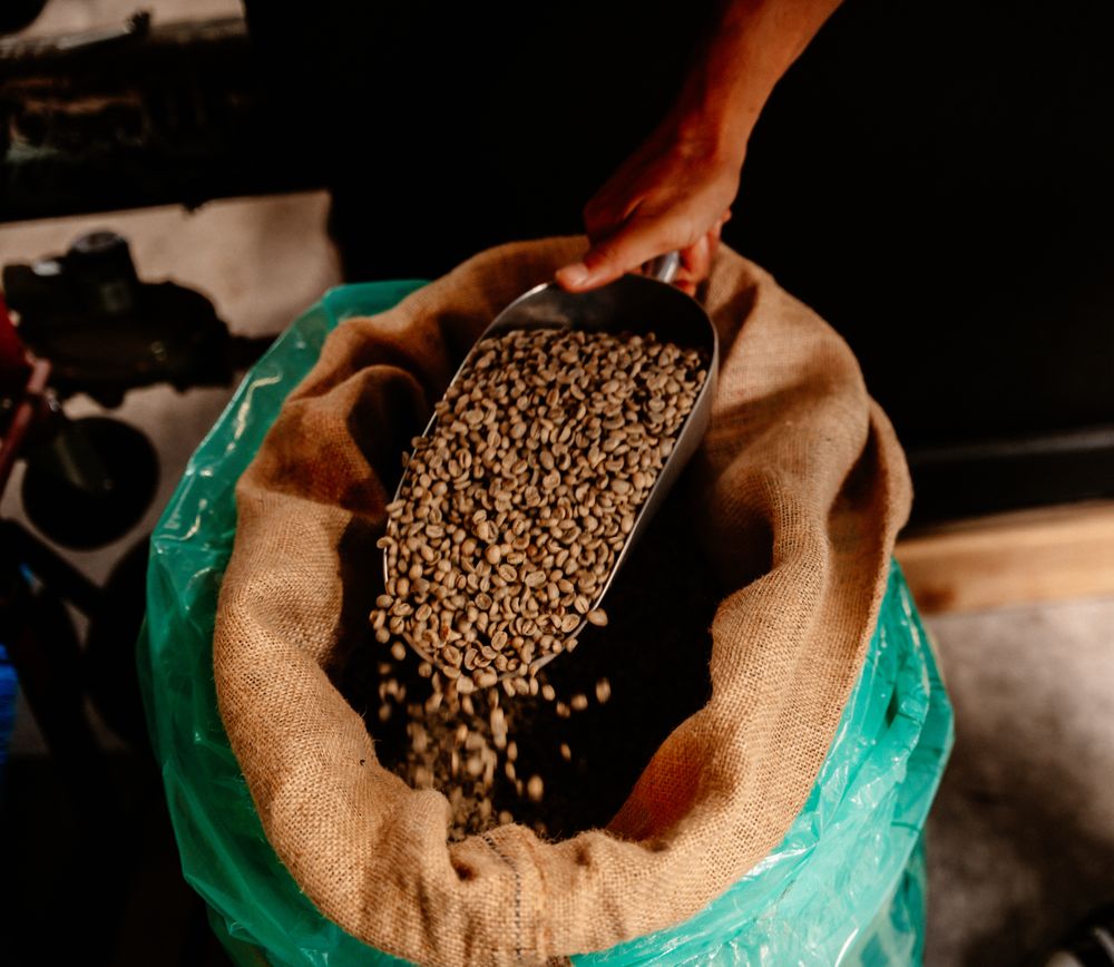 Pacific Coffee Research Logo