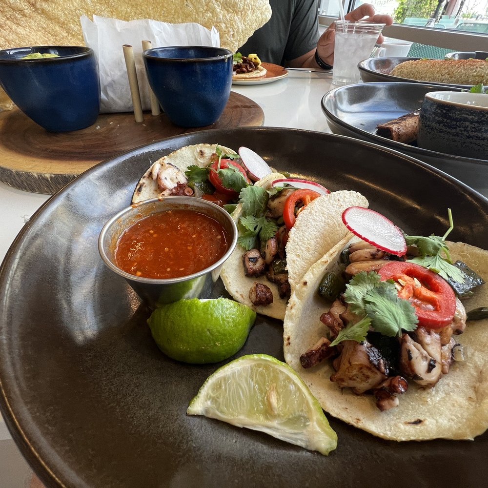 Urbe - TACOS DE PULPO AL CARBON - Mexican Near Me - Houston, Texas Urbe - TACOS DE PULPO AL CARBON - Mexican Near Me - Houston, Texas