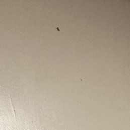 the name of a knife on the wall the name of a knife on the wall