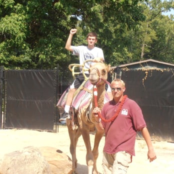 Memphis Zoo - even teenagers have fun here! - Zoos Near Me - Memphis, Tennessee Memphis Zoo - even teenagers have fun here! - Zoos Near Me - Memphis, Tennessee