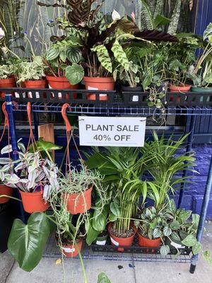 The Mellow Mission by null