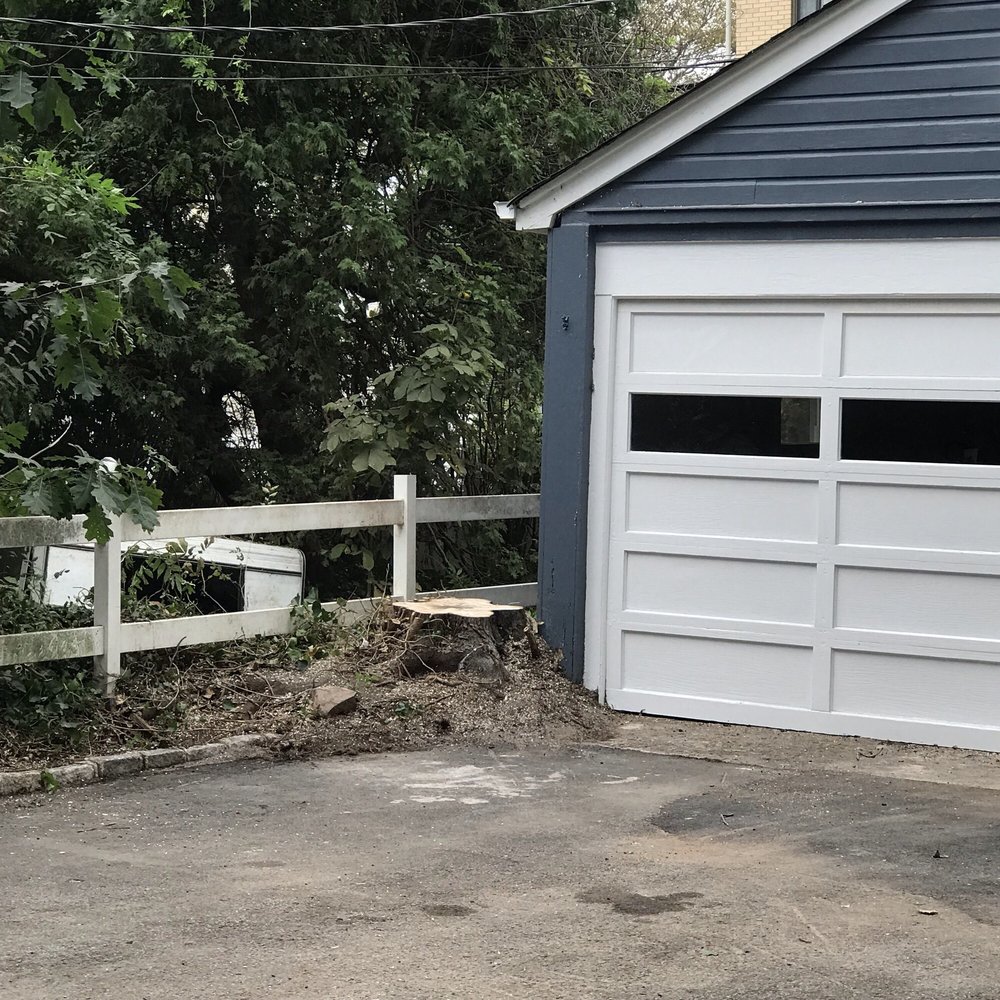 American Tree Experts - The stump and challenging location of where the tree once stood - Tree Services Near Me - Montclair, New Jersey American Tree Experts - The stump and challenging location of where the tree once stood - Tree Services Near Me - Montclair, New Jersey