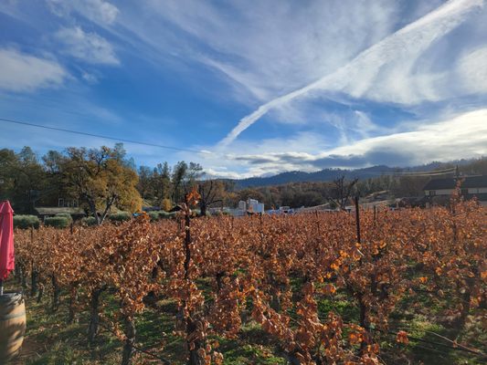 Pope Valley Winery by null