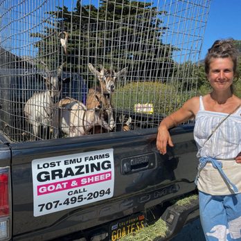 Lost Emu Farms - We got you covered! - Landscaping Near Me - Aptos, California Lost Emu Farms - We got you covered! - Landscaping Near Me - Aptos, California