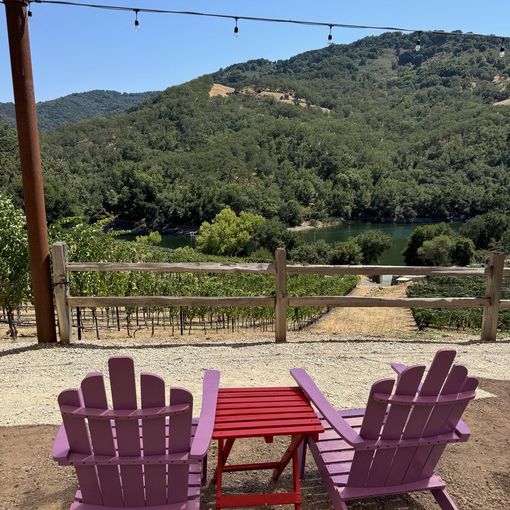 Alamitos Vineyards - Wine Tasting Room Near Me - San Jose, California