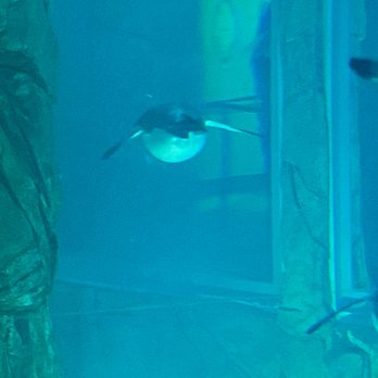 ABQ BioPark Zoo - Zoos Near Me - Albuquerque, New Mexico