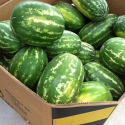 The Melon Shed - Watermelon!!