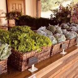 Velma’s Farm Stand - Filigreen Farm