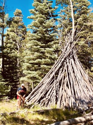 Hyde Memorial State Park by null