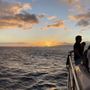 Photo of Three Tiki Sailing