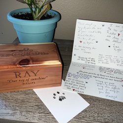 Napa Small Animal Hospital