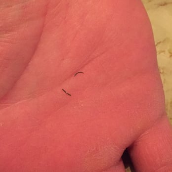 Palio's Pizza Cafe - Wiry piece of metal that I bit down on from my pasta! About as thick as a hand sewing needle, but only about a half inch long. - Pizza Near Me - Fairview, Texas Palio's Pizza Cafe - Wiry piece of metal that I bit down on from my pasta! About as thick as a hand sewing needle, but only about a half inch long. - Pizza Near Me - Fairview, Texas