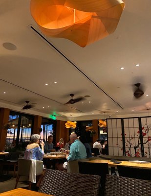 Morimoto Maui by null