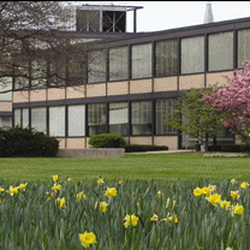 Illinois Institute of Technology