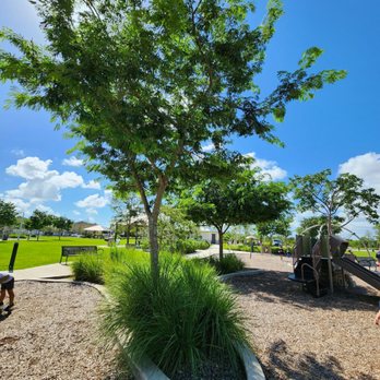 Tree Island Park - Dog Parks Near Me - Miami, Florida Tree Island Park - Dog Parks Near Me - Miami, Florida