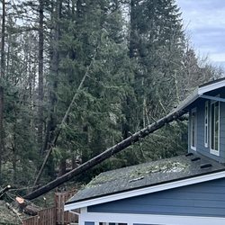 Mountain View Tree Service - Tree hit the home on the back corner.