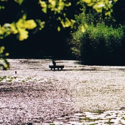 Leyenweiher