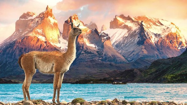 Quasar Expeditions by null