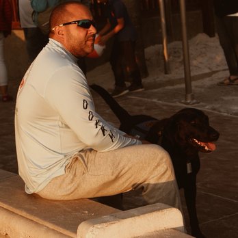 Dogs - Pet Training Near Me - Palmetto, Florida