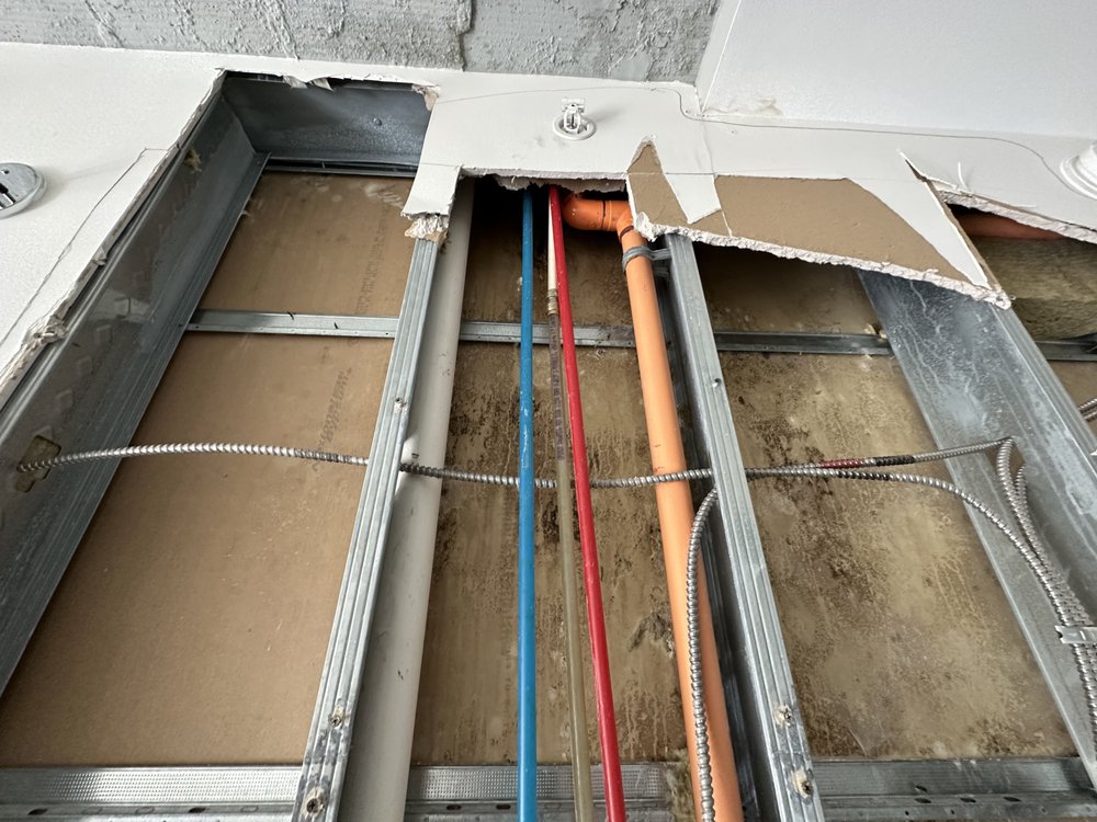 CAPITOL MOLD Updated June 2024 Request Consultation 12 Photos