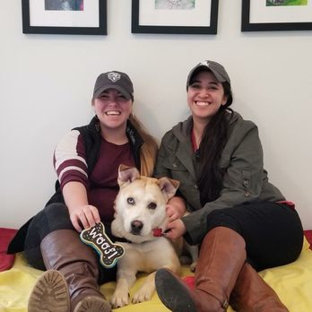 Felines & Canines - Animal Shelters Near Me - Chicago, Illinois