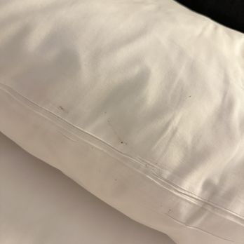 Seattle Marriott Bellevue - Blood - Hotels Near Me - Bellevue, Washington