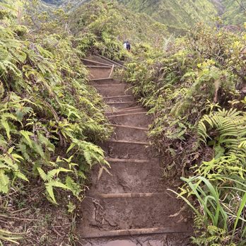 Wiliwilinui Ridge Trail - Muddy Stairs - Hiking Near Me Wiliwilinui Ridge Trail - Muddy Stairs - Hiking Near Me