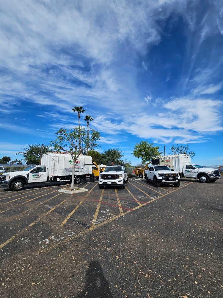 Joel's Tree Service - tree service in San Diego, CA