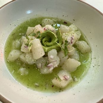 Holbox - Scallop Ceviche - Latin American Near Me - Los Angeles, California Holbox - Scallop Ceviche - Latin American Near Me - Los Angeles, California