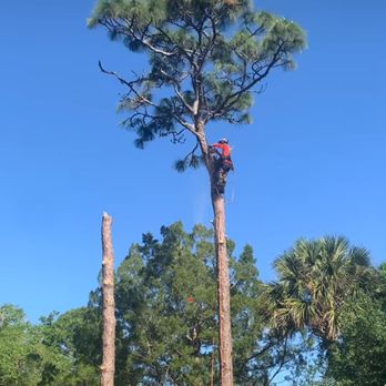 Indian River Tree Solutions - Tree Services Near Me - Vero Beach, Florida