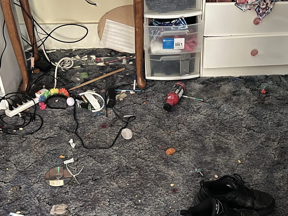 Slide of McQueens On-The-Go Home & Automobile Cleaning Services