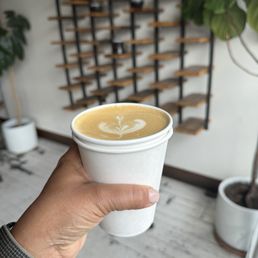Latte Latte