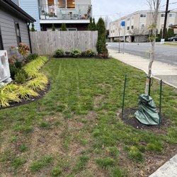 NW Yard Services - Yard clean up