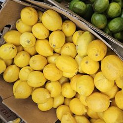 Best Fresh Super Market