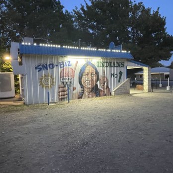 Sno Biz - a building with a mural on it - Ice Cream & Frozen Yogurt Near Me - Waxahachie, Texas Sno Biz - a building with a mural on it - Ice Cream & Frozen Yogurt Near Me - Waxahachie, Texas