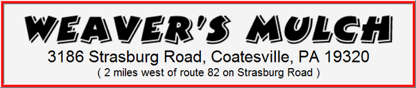 Lee's Plumbing & Excavating