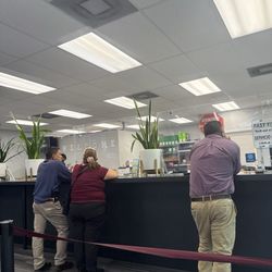 Hialeah Auto Tag Agency - Only person working