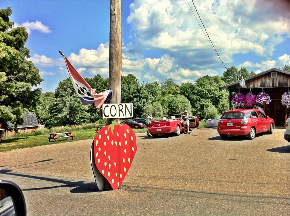 DOYLE’S FARM MARKET Updated September 2024 4844 Highway 12