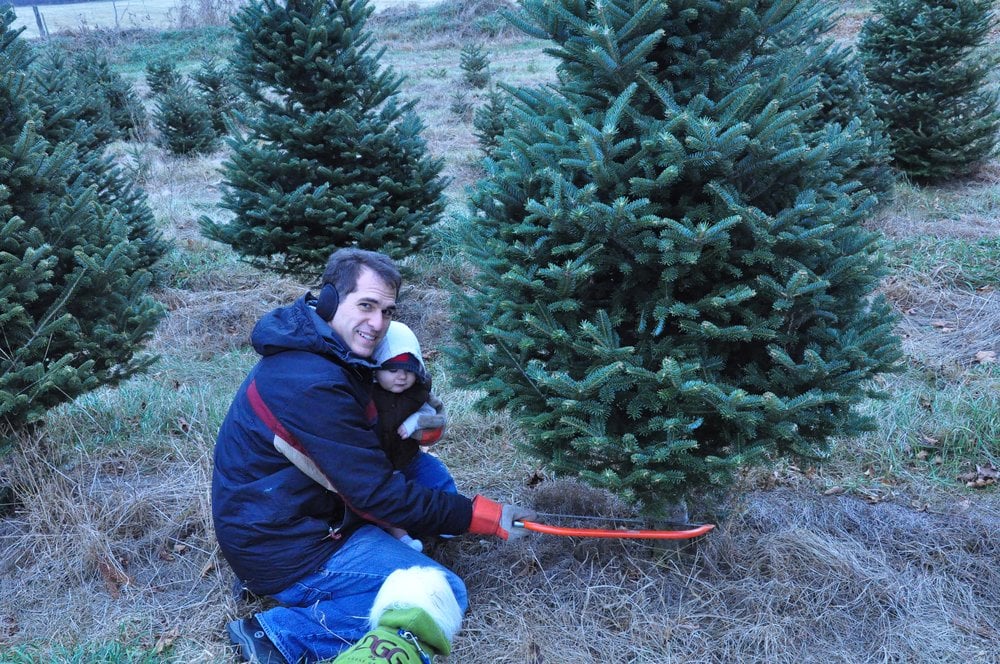 WHITE’S TREE FARM Updated September 2024 255 Jericho Rd, Essex Junction, Vermont Nurseries