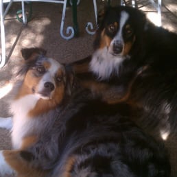 Two satisfied customers: Sadie & Oliver!