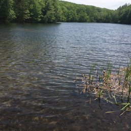 Pond Pond