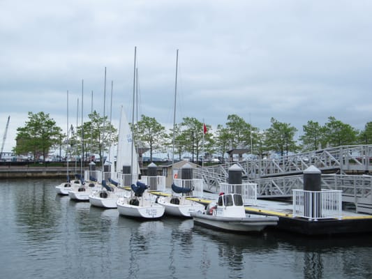 Piers Park Sailing Center by null