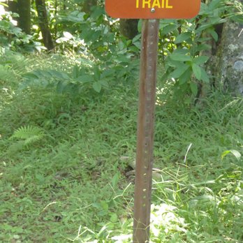 Makiki Arboretum Trail - Hiking Near Me - Honolulu, Hawaii