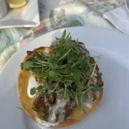 Shrimp Tostada appetizer Shrimp Tostada appetizer