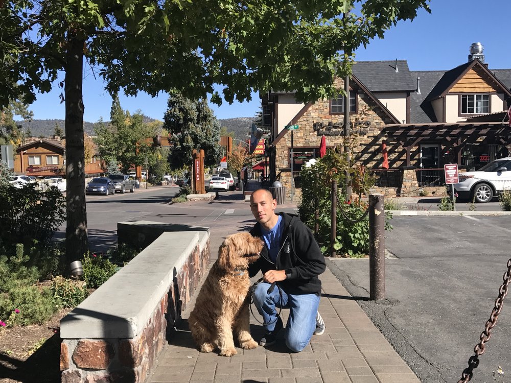 THE DOGTOR K9 TRAINING & THERAPY Updated July 2024 Mission Viejo