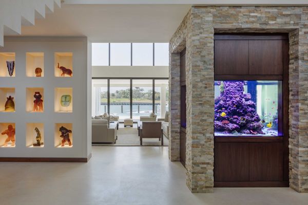 Jellyfish Art by null