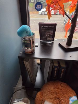 Catzen Coffee by null