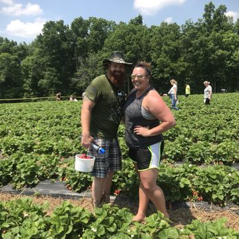 Ingram's Strawberries - Fruits & Veggies Near Me - High Point, North Carolina