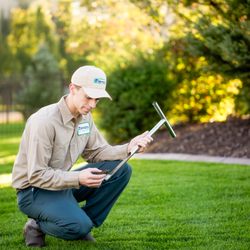Stewart's Lawn Care and Pest Control