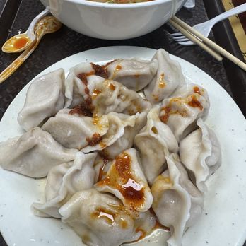 Henan Feng Wei 河南風味 - Pork cabbage dumplings $10 - Chinese Near Me - Flushing, New York